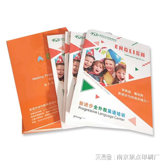 南京广告宣传样本设计-南京科技公司手册印刷(图2)