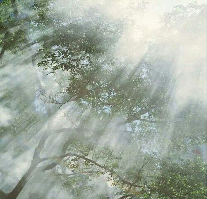 在成都山林秘境这座隐奢美宿拿下瑞士设计大奖(图3)