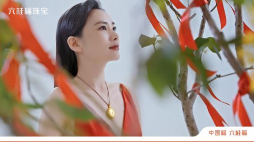 剧透六桂福全新形象广告片即将亮相(图3)