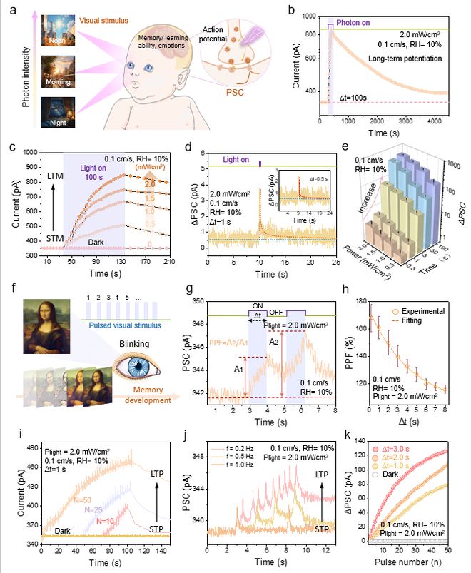 大连理工江诚鸣、毕胜等《AM》：生物启发的多模态人工视觉-呼吸突触(图4)