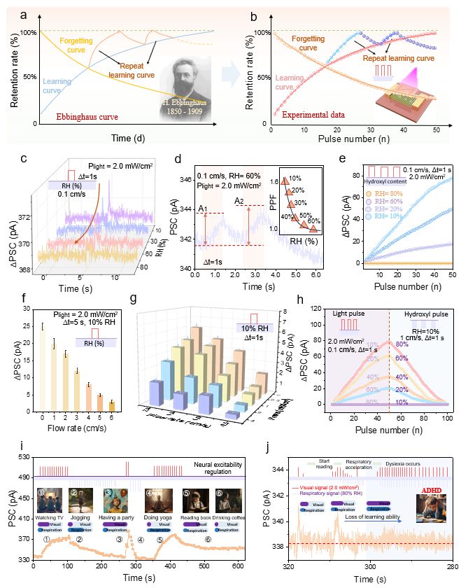 大连理工江诚鸣、毕胜等《AM》：生物启发的多模态人工视觉-呼吸突触(图6)