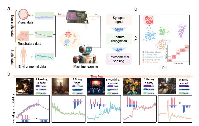 大连理工江诚鸣、毕胜等《AM》：生物启发的多模态人工视觉-呼吸突触(图7)