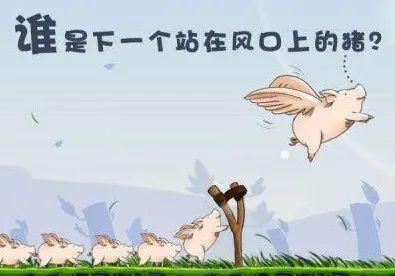 设计师有必要打造个人IP吗？(图8)