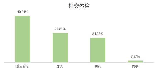 欧洲杯品牌广告调研报告(图10)