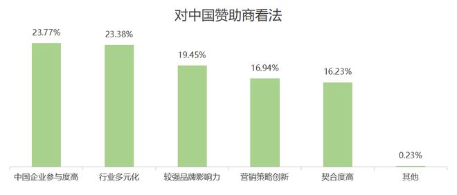 欧洲杯品牌广告调研报告(图18)
