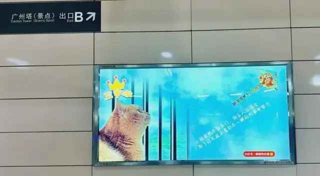 广州地铁允许个人投放后秒变“整活现场”！你会尝试吗？｜第2眼(图6)