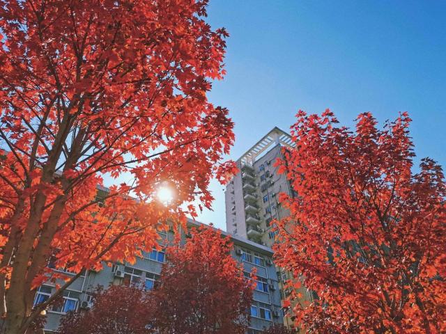 武汉工商学院什么专业好？国家一流值得关注(图1)