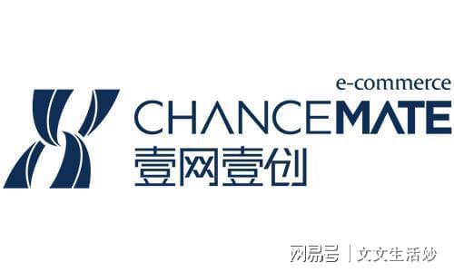 天猫代运营公司品牌前十名(图3)