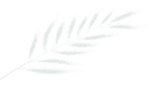 这份书单带给新传学子稳定的精神内核！(图1)