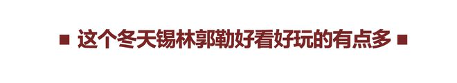 大师印迹！一支笔书写百年历史(图40)