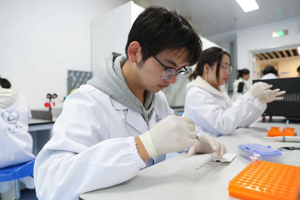 农业科技兴乡村生活美——“高质量发展调研行”聚焦全面推进乡村振兴(图2)