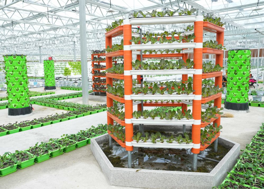 农业科技兴乡村生活美——“高质量发展调研行”聚焦全面推进乡村振兴(图5)