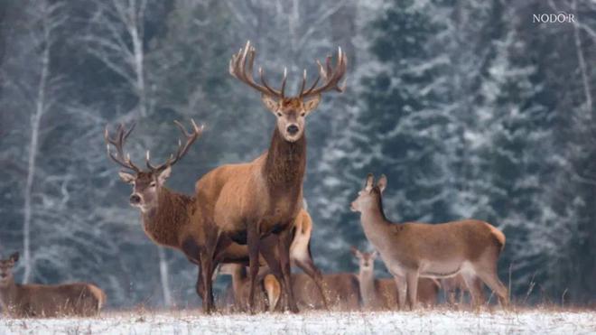 若道周运107-1013丨木星逆行冥王星顺行重新探索内在的智慧之道(内含12星座运势)(图1)
