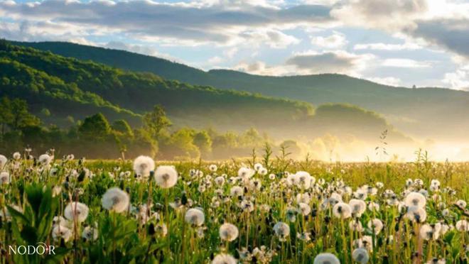 若道周运107-1013丨木星逆行冥王星顺行重新探索内在的智慧之道(内含12星座运势)(图2)
