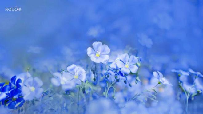 若道周运107-1013丨木星逆行冥王星顺行重新探索内在的智慧之道(内含12星座运势)(图3)