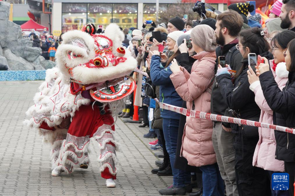 春节提前来到布达佩斯(图1)