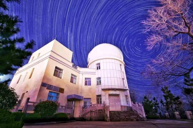 山东大学撤销书法学专业的多维意义探析——基于教育政策、社会需求与文化传承的视角(图2)