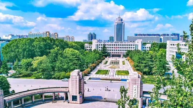 山东大学撤销书法学专业的多维意义探析——基于教育政策、社会需求与文化传承的视角(图1)