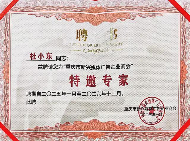 杜小东：“一带一路”广告企业“走出去”发展模式(图2)