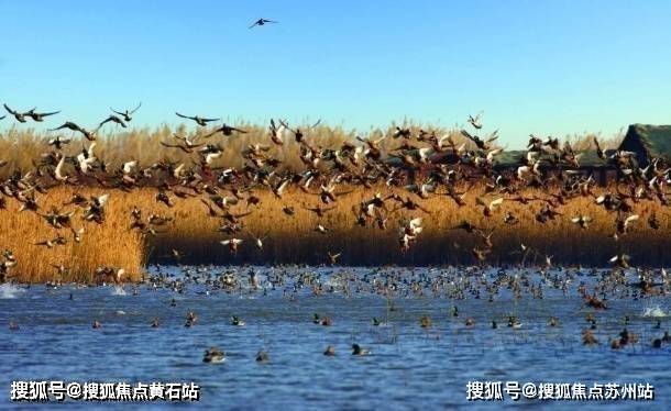 路劲象屿岛上的院子首页网站-岛上的院子欢迎您@2024楼盘评鉴_最新价格配套户型(图10)