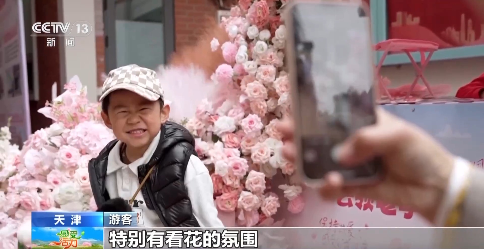 海棠花开了跟主播一起感受被天津“捧在手心里宠”(图5)