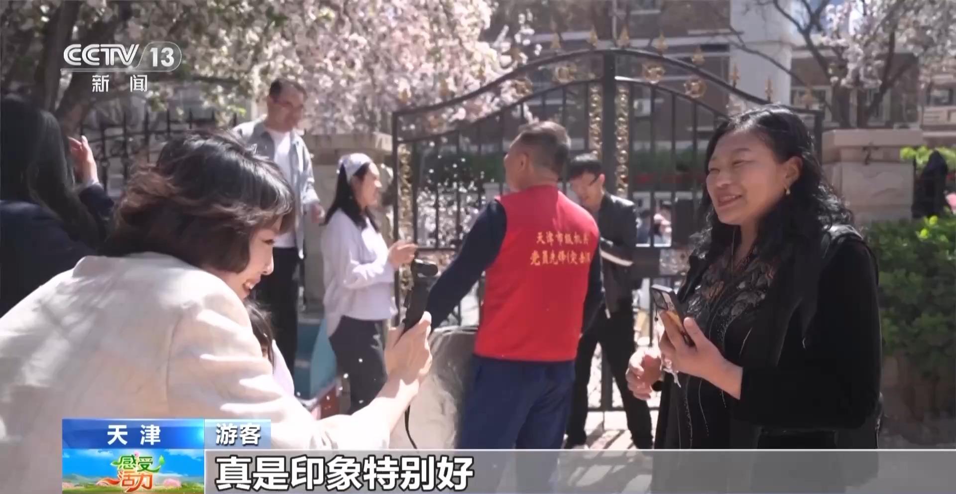 海棠花开了跟主播一起感受被天津“捧在手心里宠”(图7)