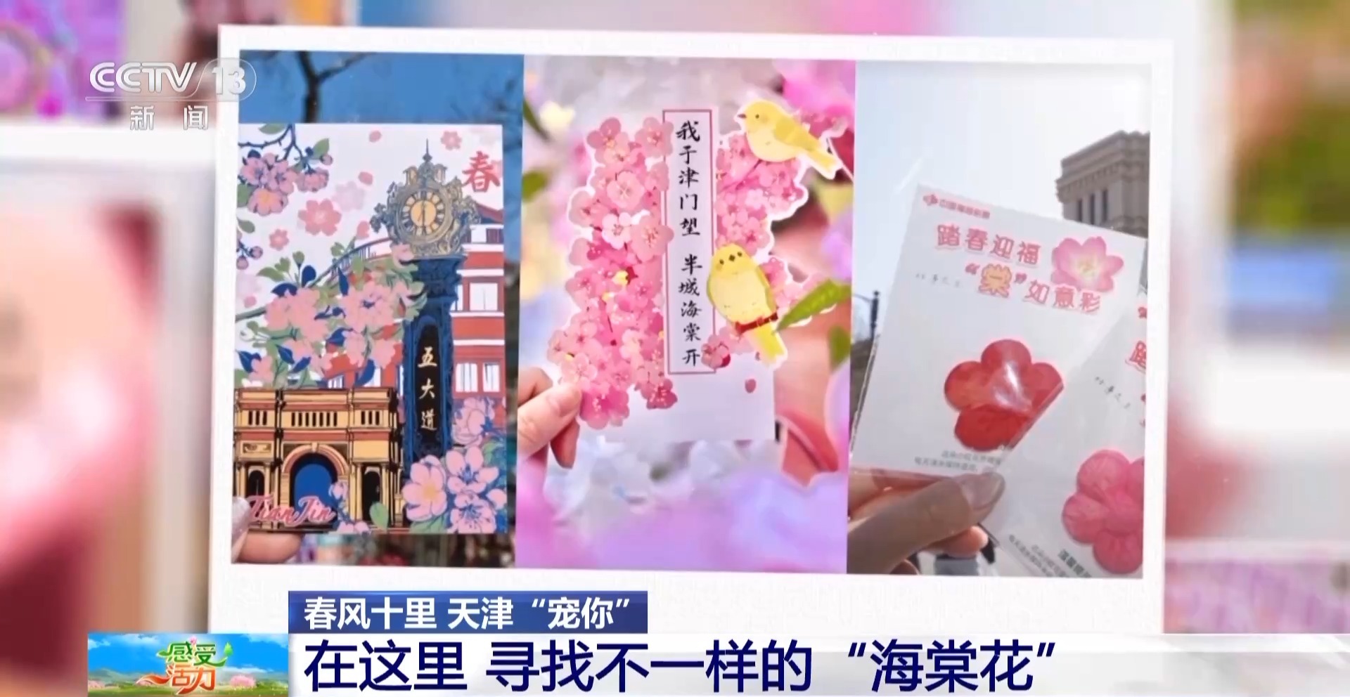 海棠花开了跟主播一起感受被天津“捧在手心里宠”(图12)