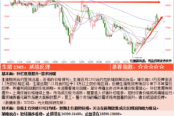 美女吊逼(图1)