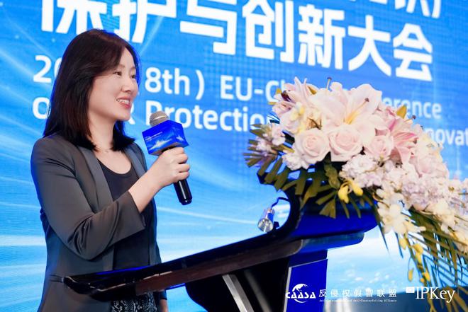 2025(第八届)中欧互联网知识产权保护与创新大会在京成功举办!共探数字时代知识产权治理新挑战(图10)