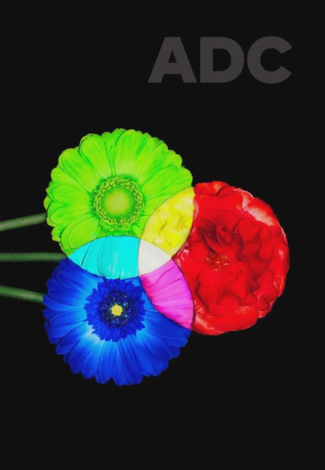 东京ADC2024年鉴即将发行！吉田ユニ用花卉演绎CMYK与RGB的融合(图3)