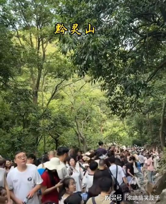 贵州已被“攻占”！全国游客人潮汹涌网友：这哪儿是来避暑的？(图7)