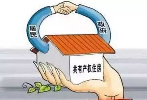 房产产权比例是怎么(图1)