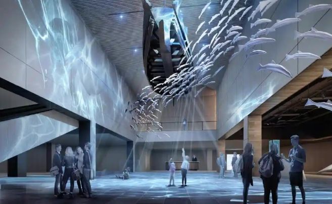 展馆平面设计选四川博达至成资深团队全程把控保障创意精准落地(图3)