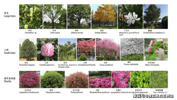 首页-2025古北悦公馆售楼处电话古北悦公馆户型图项目售楼处电话地址(图6)