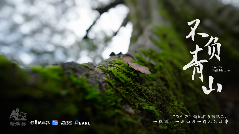 “‘百千万’新地标”系列纪录片《不负青山》|在广东的山里看见一片“海”(图1)
