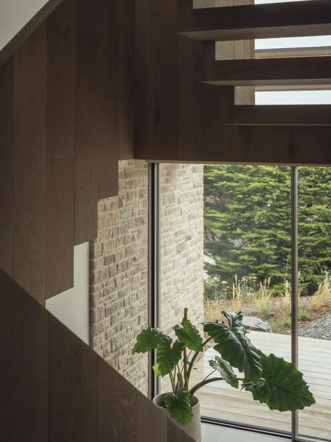 温柔巨人的自然哲学:40年经验凝练的斜坡住宅设计(图3)