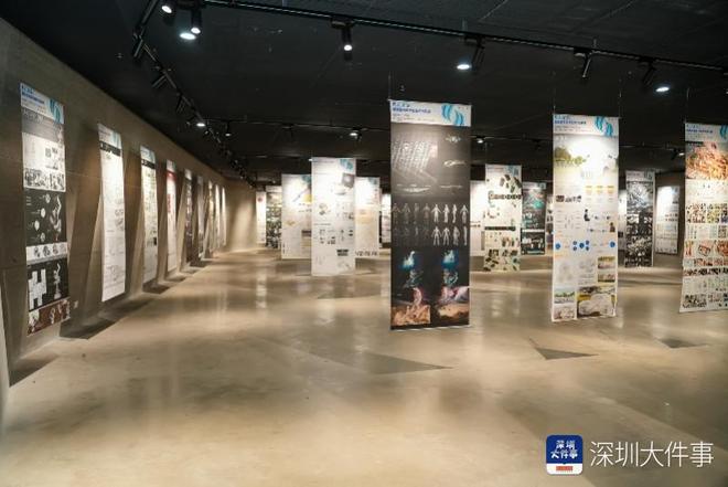 全国顶尖设计学界专家聚首深圳大学共探学科高质量发展路径(图3)