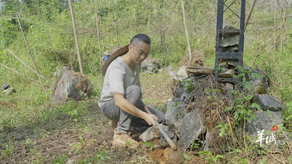 唐羽：种狗仔豆的年轻人｜南粤最美职工①(图5)