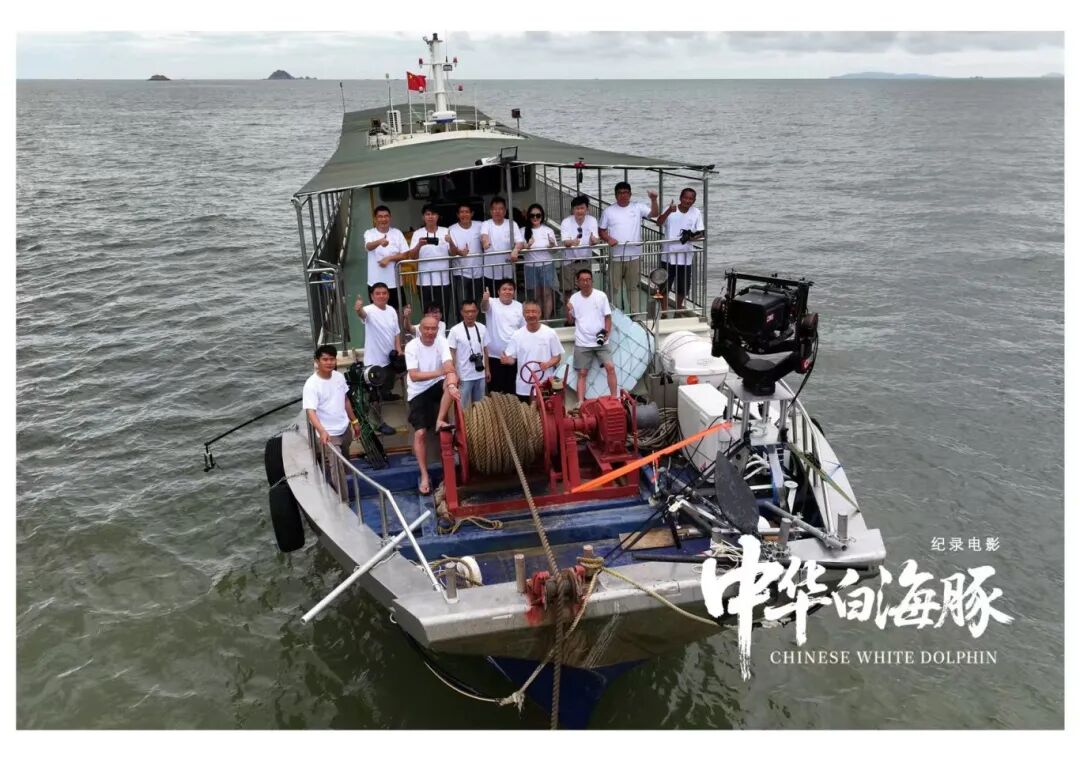 与粤港澳“海洋精灵”相遇《中华白海豚》12月12日上映不止于海的生命叙事(图4)