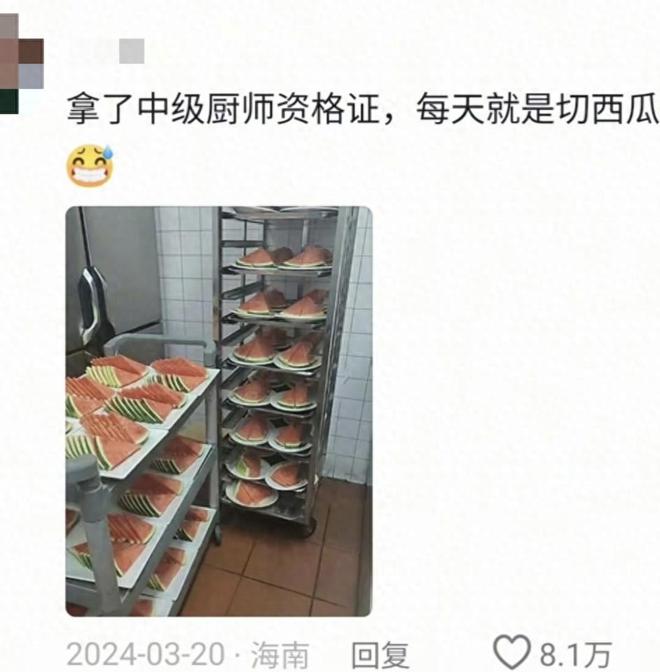 网友热议：工作与专业不对口的趣事引发共鸣(图1)