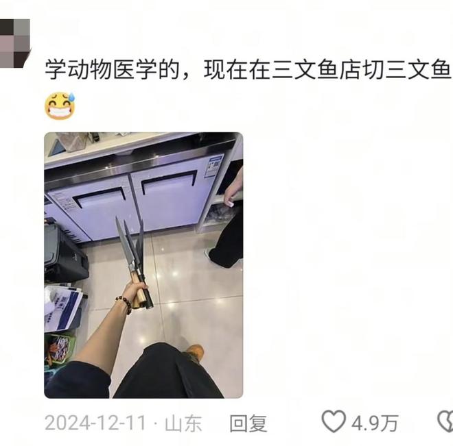 网友热议：工作与专业不对口的趣事引发共鸣(图2)