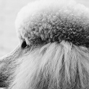 报个平面设计培训班要多少钱(图2)