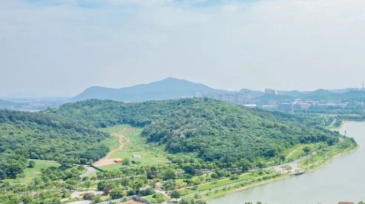 正在优化方案！南京人等了4年的国际化地标敲定重启(图7)