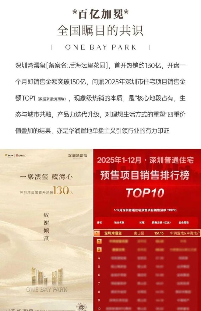 深圳湾澐玺南区162套住宅正在冻资备案价15万平起3月22日开盘(图3)