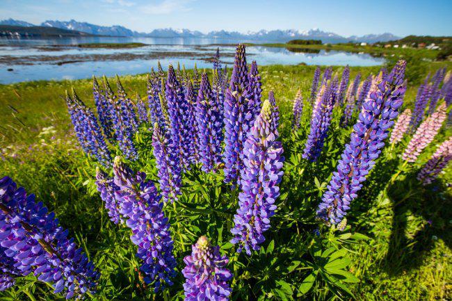 2026十大正版图库推荐免费高清素材合规使用指南(图1)