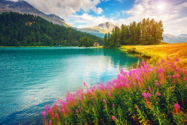 2026小红书、公众号配图素材网站推荐新手到大V配图资源攻略(图1)